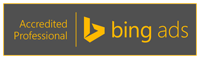 Bing Professional