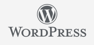 Wordpress designer